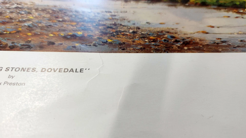 Escalones Dovedale de Rex Preston, impresión de reproducción Foto 2 de 2