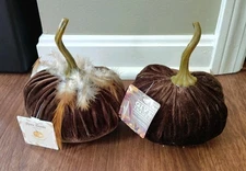 Flora Bunda Velvet Feather Fall Autumn Pumpkin Set Of Two
