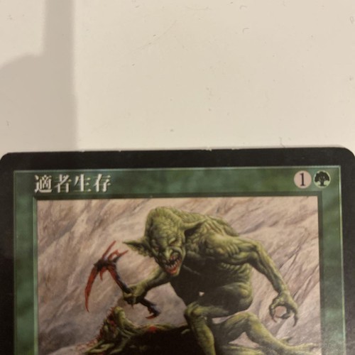 Survival of the Fittest|Exodus Green Japanese MTG Magic the Gathering SP - Picture 4 of 4