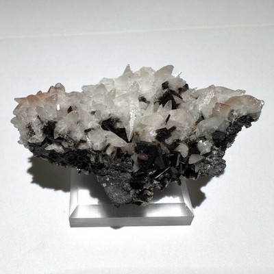 Rare 1.8  Arizona Baryte & Calcite Magma Mine, Superior, AZ - Ex Pinal Museum