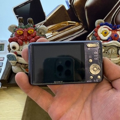 SONY Cyber-shot DSC-W570 Digital Camera 16.1MP 5x Optical Zoom