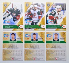 2018-19 Sereal KHL Ak Bars Kazan Base Pick a Player Card