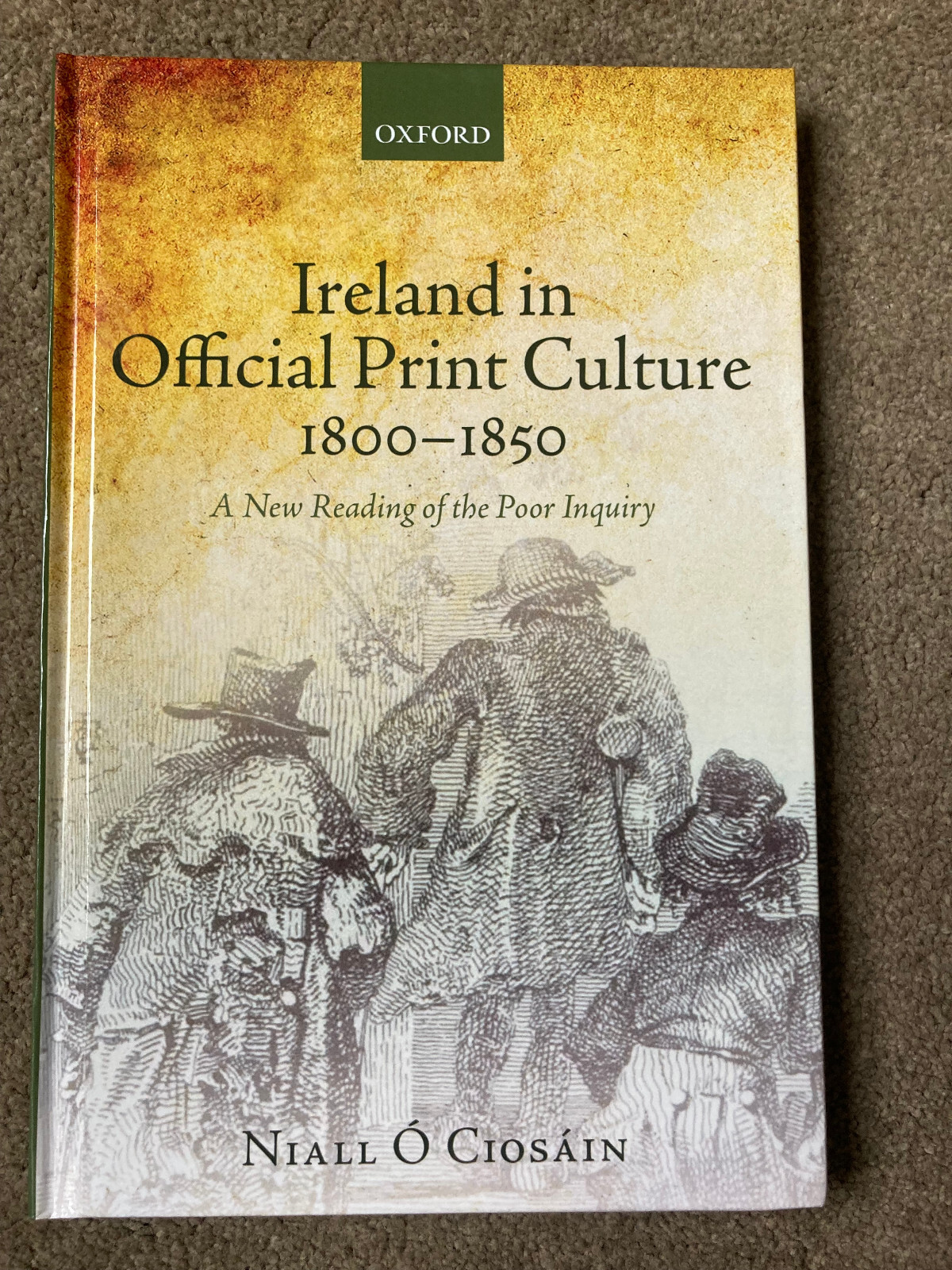 Ireland in Official Print Culture, 1800-1850 by Niall Ó Ciosáin