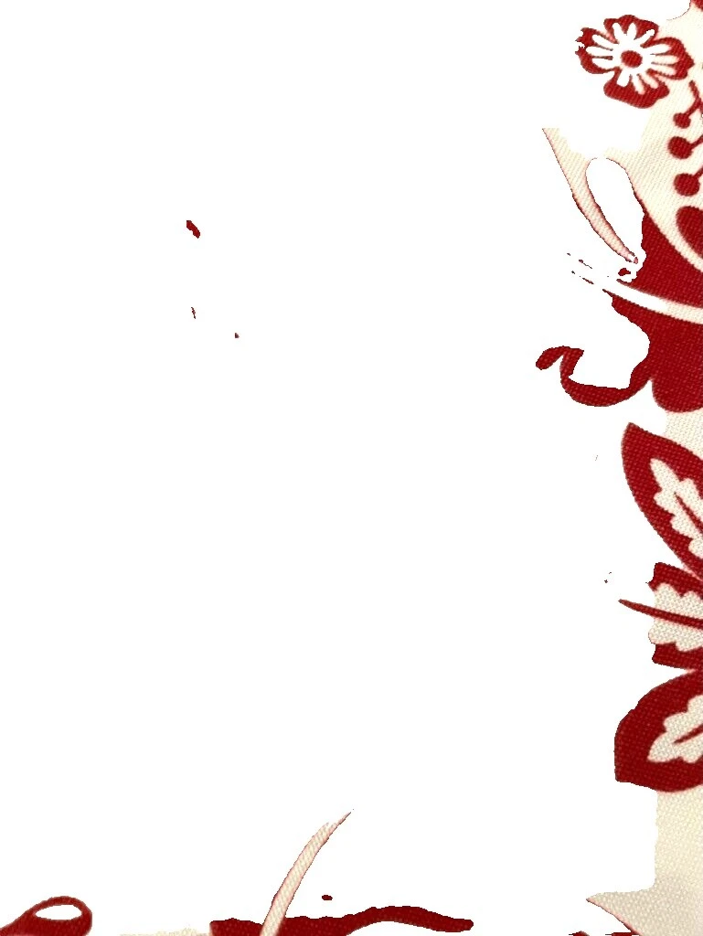 White Lace Shower Curtains