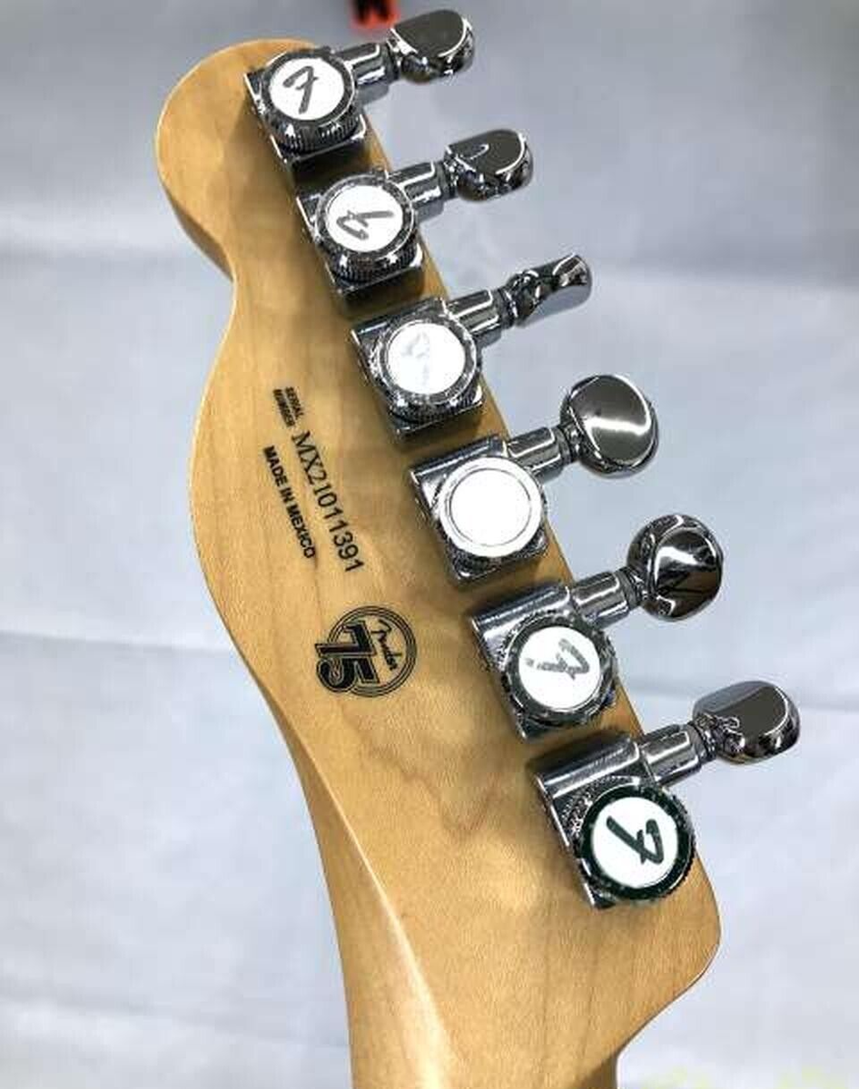 FENDER MEXICO Deluxe Nashville Telecaster 2021 Mexico FENDER MEXICO Deluxe Nashville Telecaster 2021 Mexico