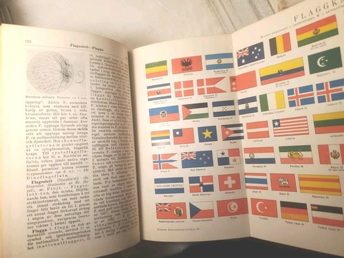 Fine Binding Bonniers Konversations Lexikon Band Nerman-Psalm, 1924 Swedish Lang - Foto 14 di 21