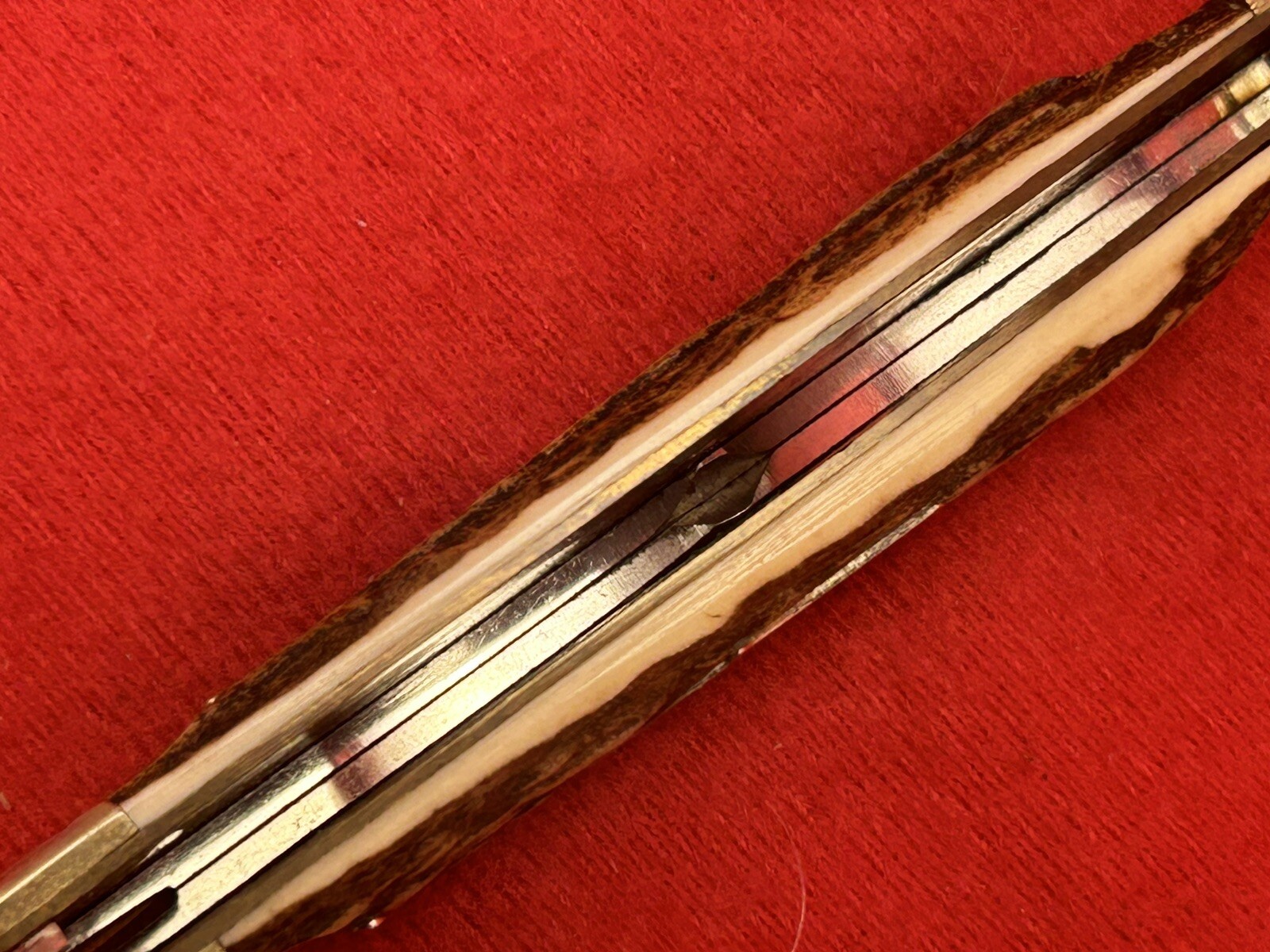 1984 GATOR CUTLERY Club Knife THICK STAG Handles Kissing Krane 1 of 250 RARE NR eBay