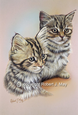 Brown Tabby Kittens Print by Robert J. Mai