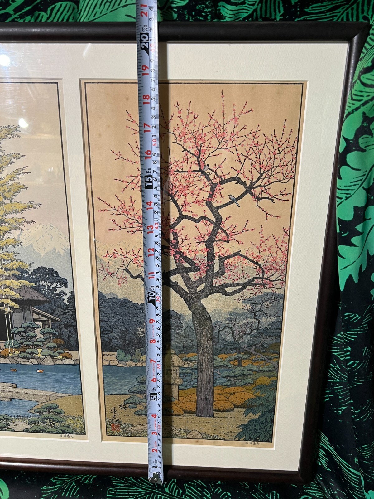 Picture 19 of 19
