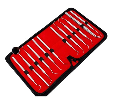 Set of 12 Stainless Steel Precision Micro Probe Set Combo, 5.5''- 6'' Length