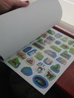 Foto 8 di 8