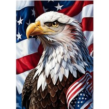 WGSMGL American Eagle Diamond Art Kits 12x16 Inches, Red, White, Blue, Brown