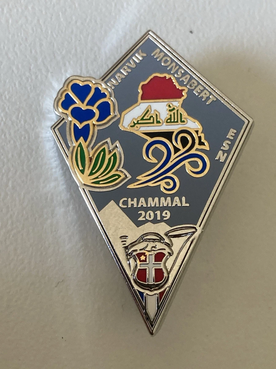insigne CHASSEURS ALPINS Brevet préparation militaire SKI