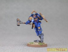 40K WDS painted Space Marines Captain with Jump Pack and Relic Shield d88