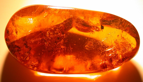 Swarm of 20 Winged Male Ants in Dominican Amber Fossil Gemstone - Picture 11 of 12