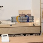 Picture 5 of 12