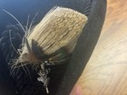 Vintage 1960s Men's Black Fedora - Genuine Fur Felt Hat by Empire State Hats — photo 7