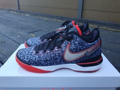Nike Zoom LeBron Nxxt Gen Faze Clan UK 8, 9, 9,5, 10, 12 DR8784 001