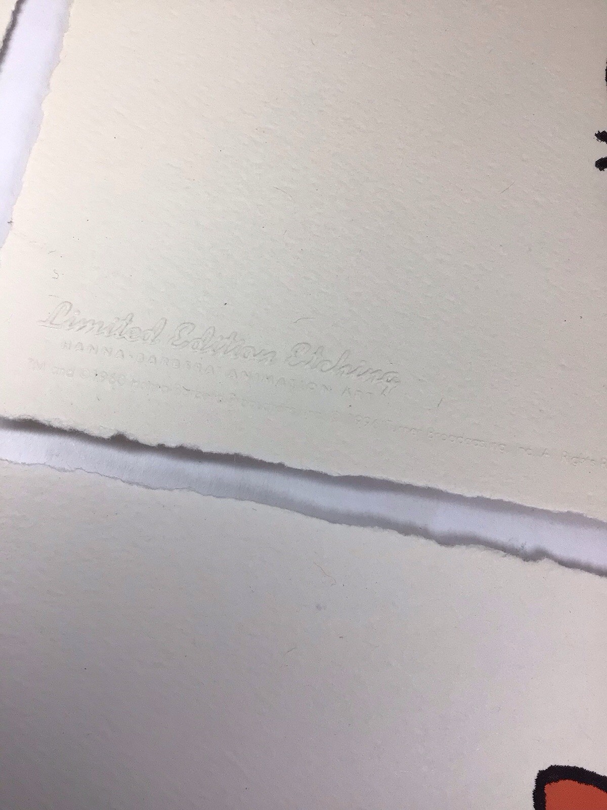 Picture 4 of 6