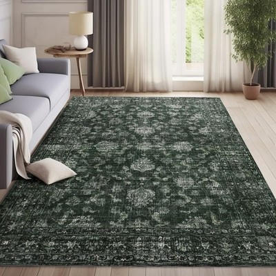 FROZZUR Boho Green Area Rug 5x7 Large Vintage Rug for Living Room B... Fast Ship