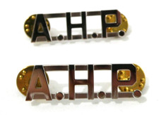 BLACKINTON 1/2"-A.H.P.- Letter Collar Insignia SILVER Finish POLICE PIN 1 PAIR