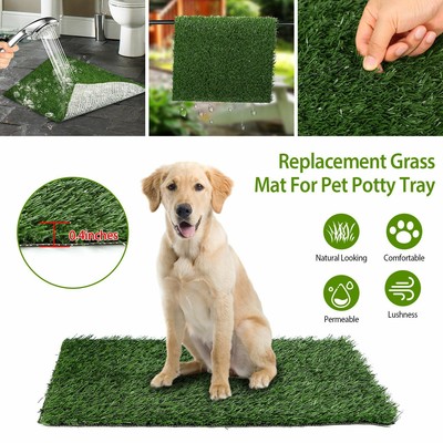 outdoor pet potty grass