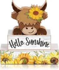 4 Pcs Summer Wooden Tiered Tray Decor Farmhouse Rustic Table Decor Books Stack B