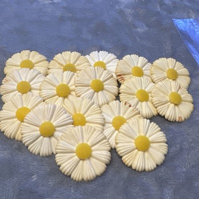  Cake Decorating lot Wilton Daisy 16 Flowers