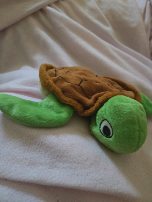 Fetch Pet Products Squeaky Turtle Toy.  Works. 
