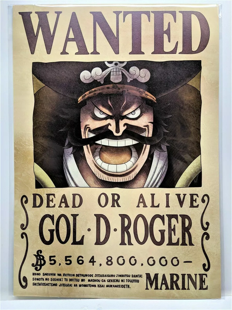 ONE PIECE Poster (A1 - A2) - Gol D. Roger