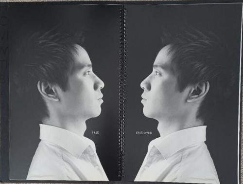 CRASH 2008 TV SERIES STARZ RARE OVERSIZED OFFICIAL PROMO PRINT PRESS KIT BOOKLET - Picture 4 of 5