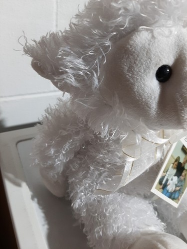 23rd Psalm Lamb - Praying Plush Lamb - Prays with You- New With Tags - Picture 2 of 10