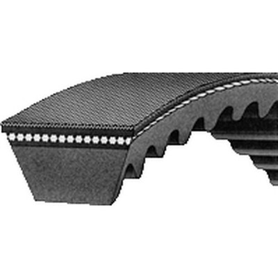 AM86514610 Belt - Fan & Alternator
