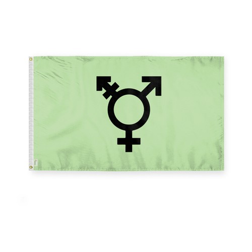Israel Trans Flag-Single Sided Printed-Brass Grommets- Fade Proof Colors - Picture 5 of 15