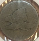 1858 flying eagle cent  — photo 1