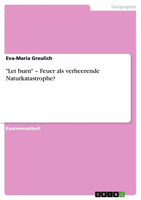 ''Let burn''   Feuer als verheerende Naturkatastrophe? (Buch)