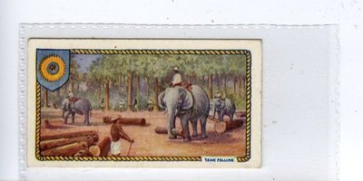 (Jc6085-100) PHILLIPS,EMPIRE INDUSTRIES,TEAK FÄLLING,1927,#18