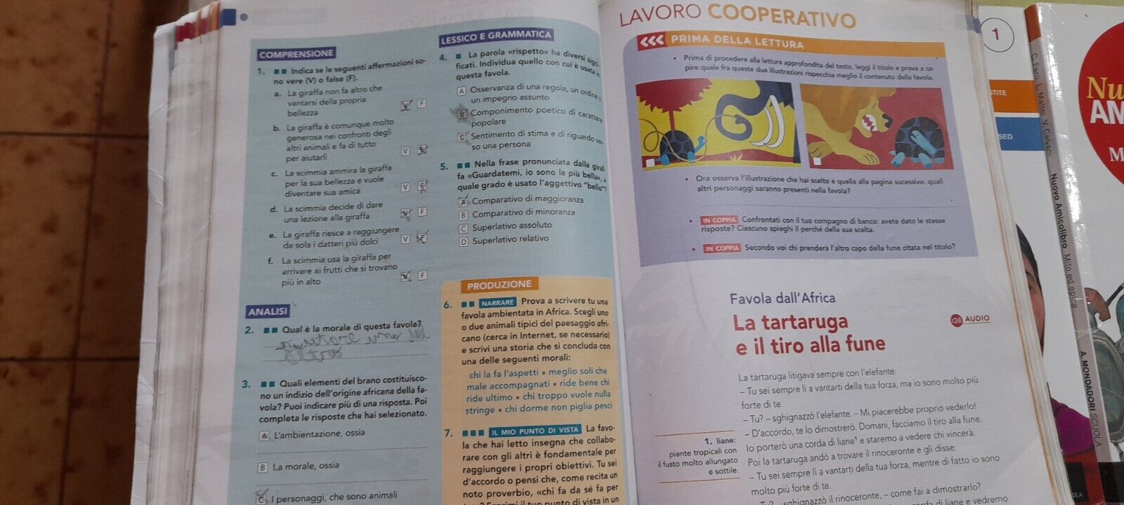 Foto 3 di 7