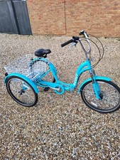 Adults Scout Tricycle 24" Wheels