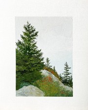 8x10 Maine Original Oil Painting Acadia Landscape Cadillac Mountain Pines Signed