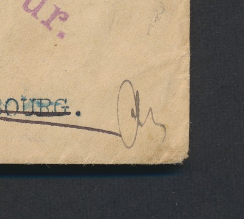 1895 LUXEMBOURG TO RUSSIA COVER, LOCAL POSTMAN LABEL, RARE EKATERINOSLAV GRN PMK - Imagen 12 de 24