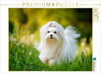 Calvendo Puzzle Maltese - Timeless Elegance | 2000 Pieces, Finished Size 35.4 ×