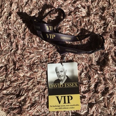 DAVID ESSEX . V.I.P PACK