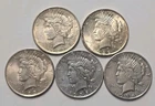 5 Peace Silver Dollars - 5 Coin Lot - SKU81
