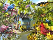 Ceramic Backsplash Tile Mural Bird Kitchen/Bathroom - Feathered Friends