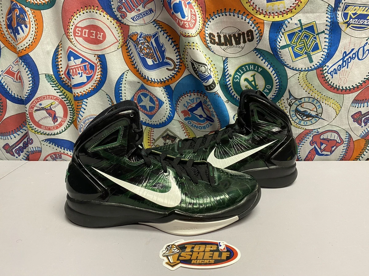 Nike Hyperdunk 2010 Gorge Green Size 10.5 Authentic Vintage VTG