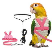 Bird Harness Leash, Pet Parrot Bird Harness and Leash with Cute Wing, Pink, S
