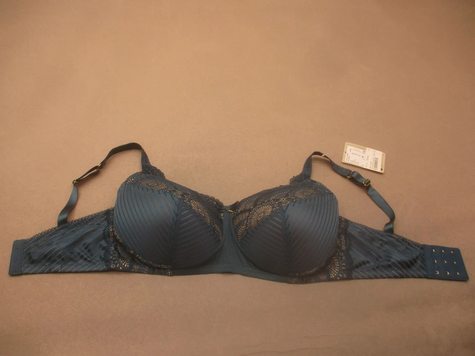 全新带标签 36DD AMOENA 女式蓝色蕾丝衬里无线背部闭合乳房切除术文胸 9H — 第 3/4 张图片