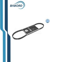 Meyle Poly-V Keilrippenriemen FüR Renault Clio II Kangoo 1.4 MPN 0500040995