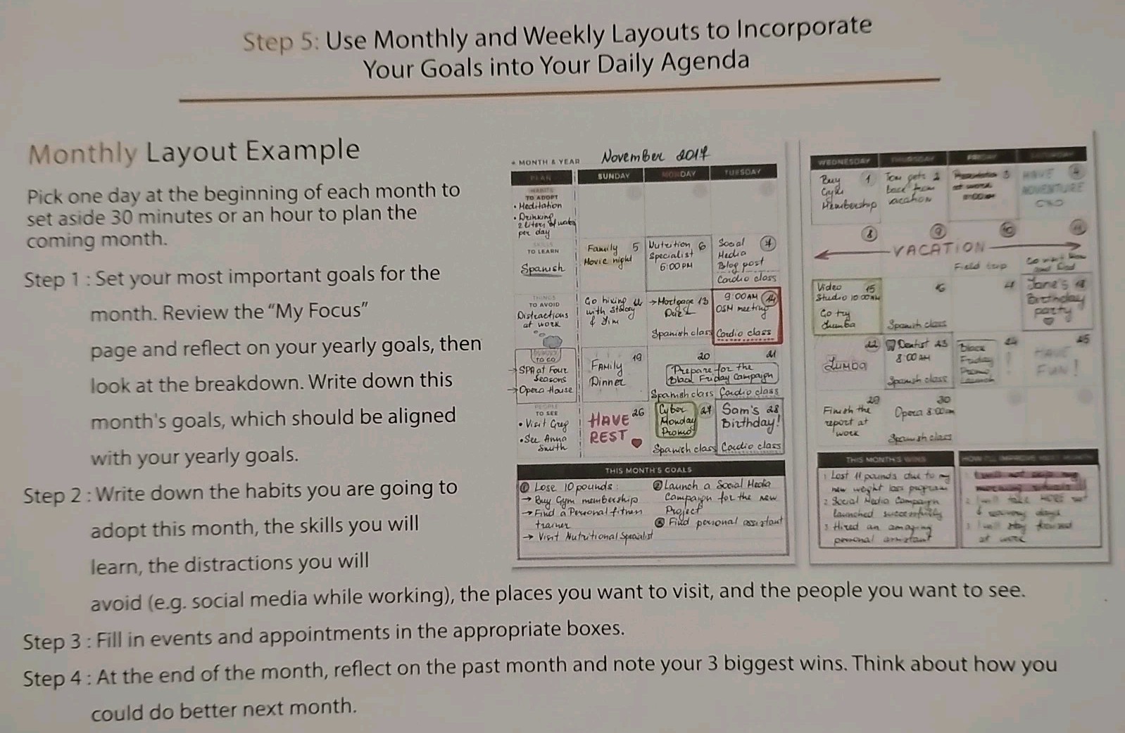 Clever Fox Weekly Planner Non-Dated Purple Organiser Scheduler Productivity NIB